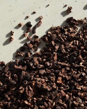 Ziarna kakaowca